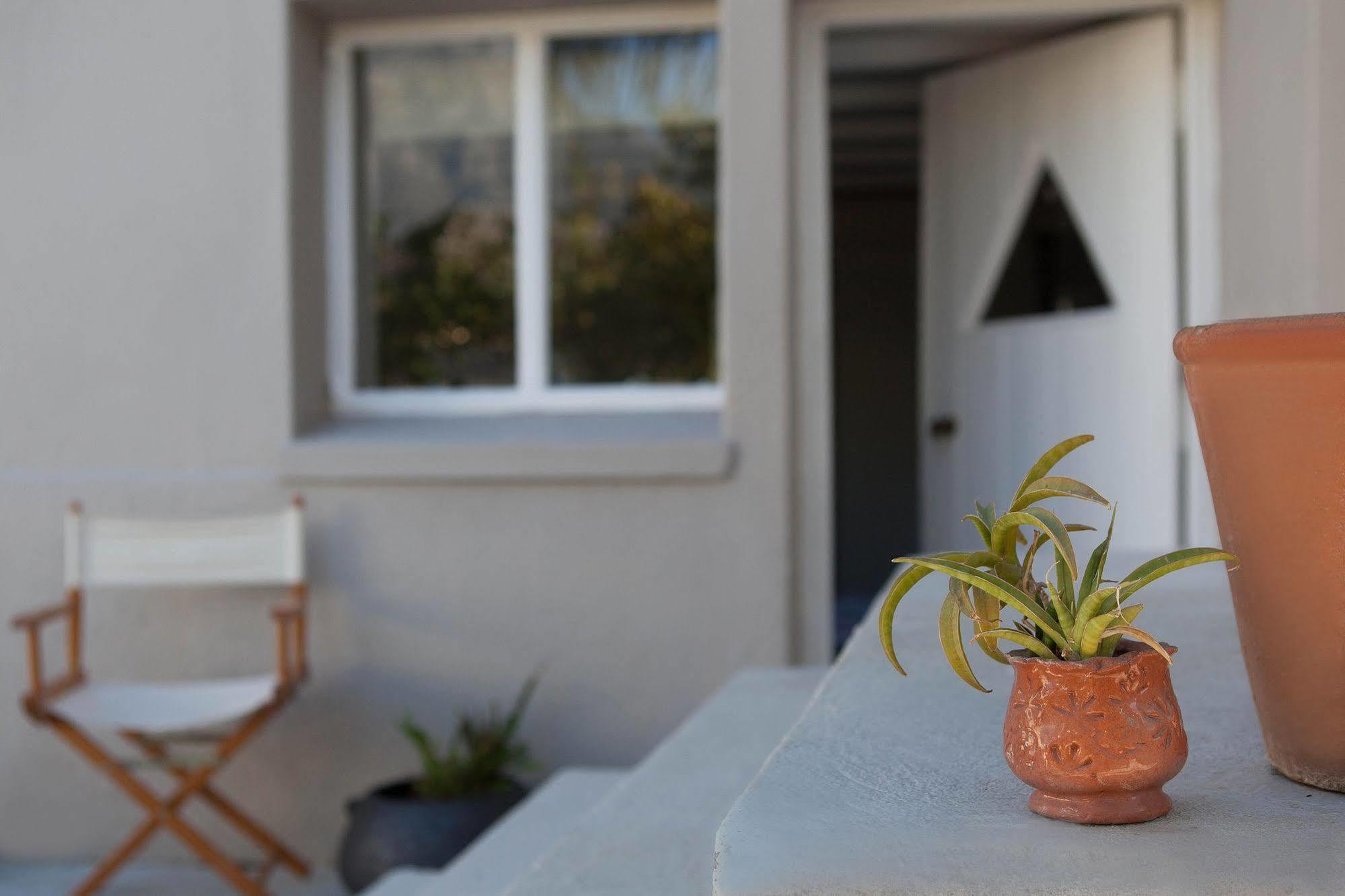 The Lions Guest House Le Cap Extérieur photo